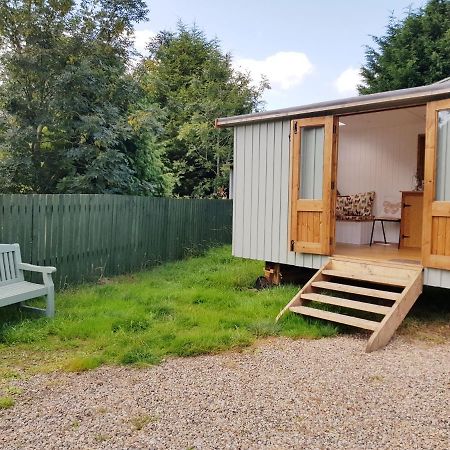 The Llama Hut Kirklevington Luaran gambar
